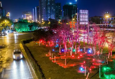 南充市政亮化糖心网站免费下载制作施工安装